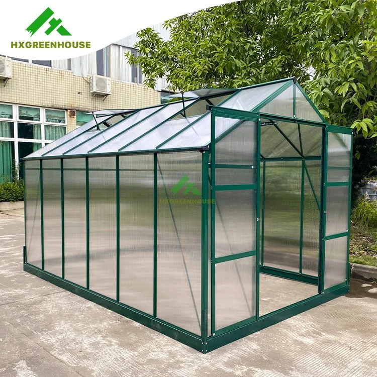 Home Agricultural Green House Hx65120-1 Series Mini Plastic Polycarbonate Film Garden Greenhouse